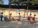 lao dong 1.jpg - 