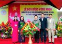IMGP7930 copy.jpg - 